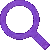Search Icon